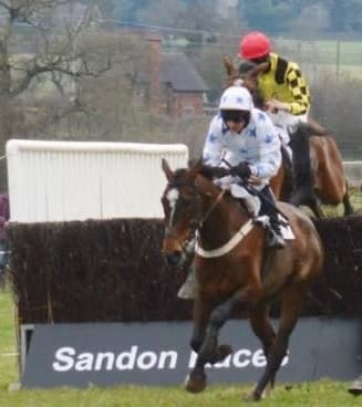 Sandon point to point